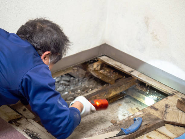 Best Mold Testing  in Bethesda, MD